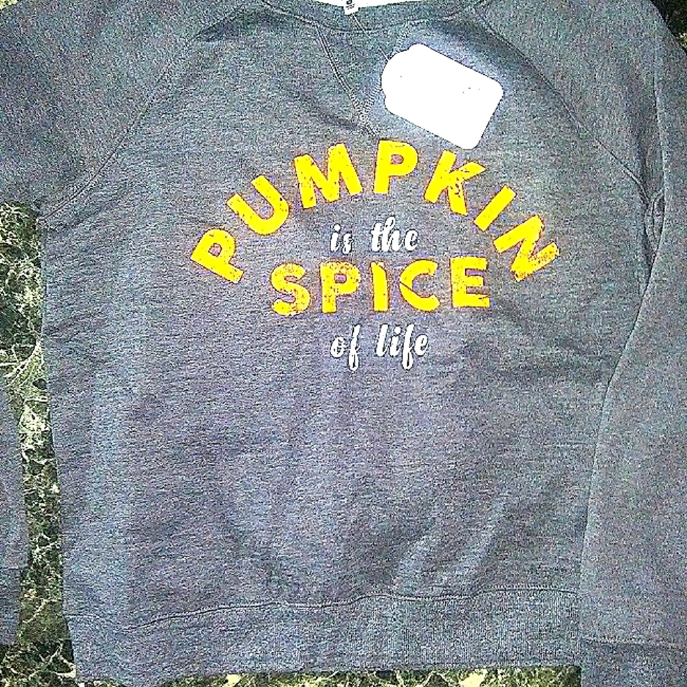 Pumpkin spice sweatshirt NwT